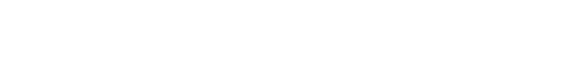 Odyssey Inc